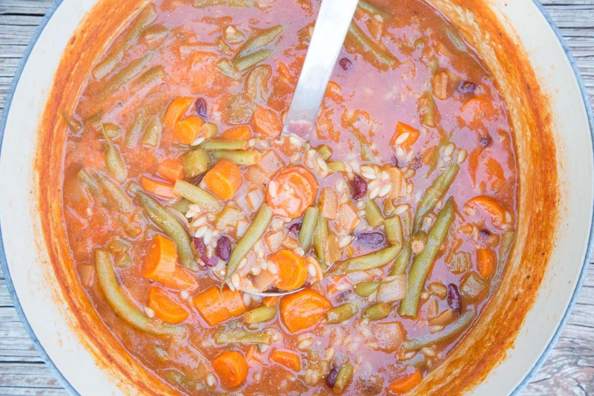 FreezEasy Minestrone Soup-2