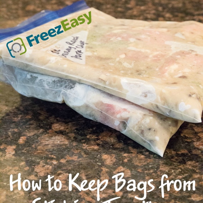 How to Keep Bags from Sticking Together in your Freezer